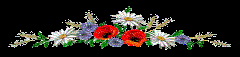 http://os1.i.ua/3/1/9483332_191d174d.gif